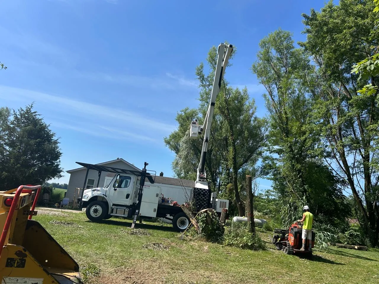 Select Tree Service project in Marengo