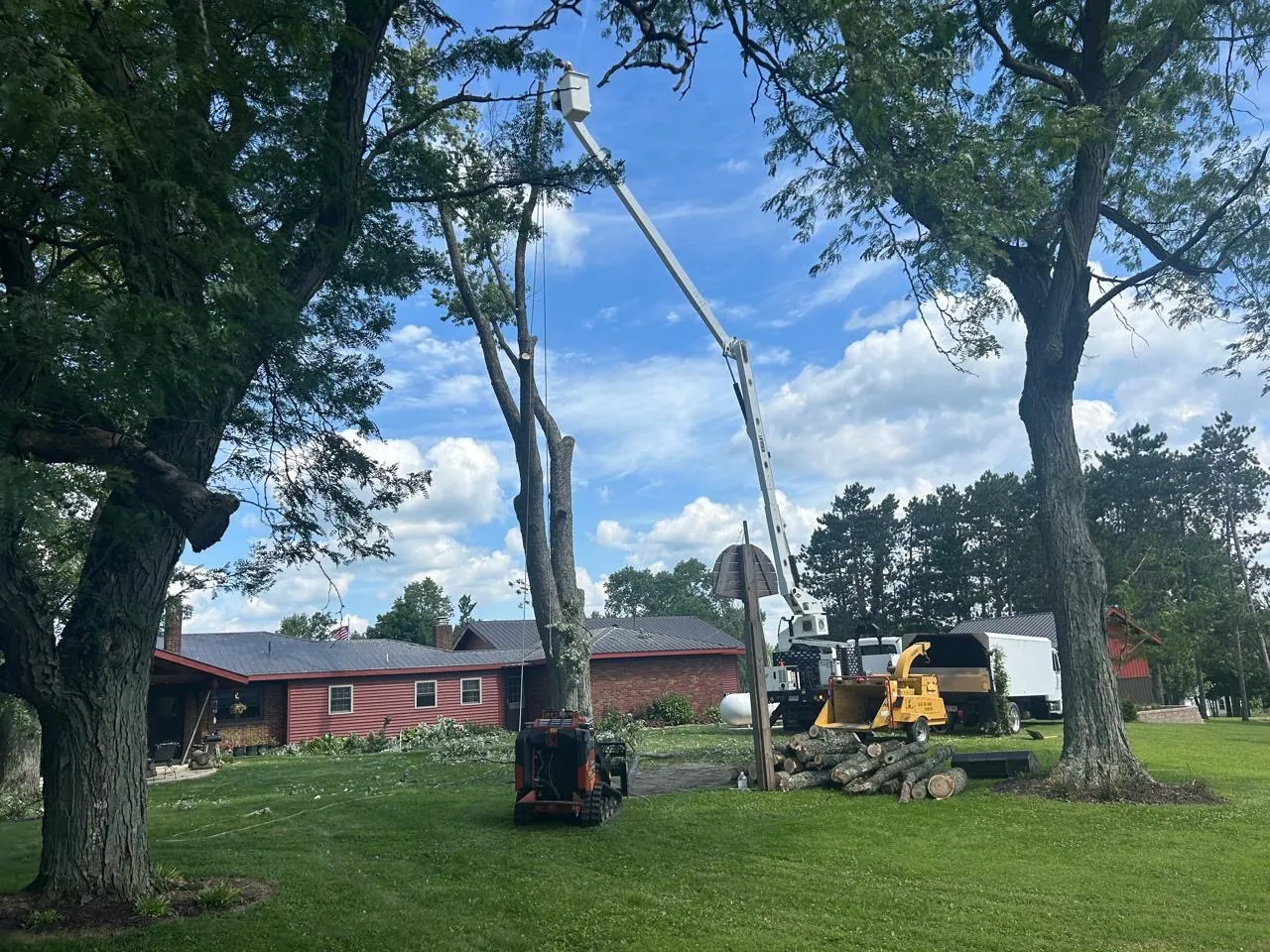 Select Tree Service project in Marengo