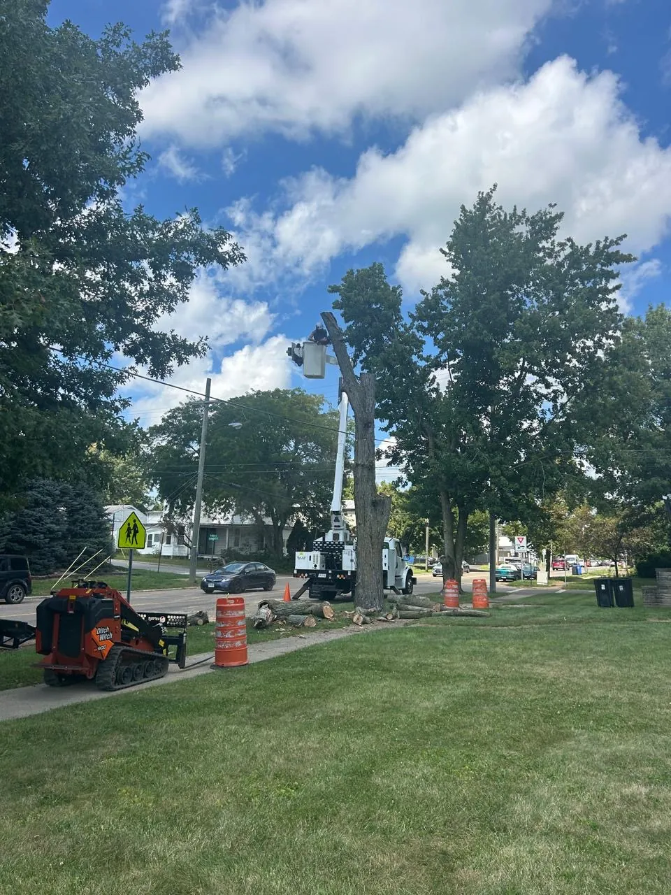 Select Tree Service project in Marengo